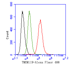Flow cytometric analysis of TMEM119 was done on SH-SY5Y cells. The cells were fixed, permeabilized and stained with the primary antibody (HA500260, 1ug/ml) (red) compared with Rabbit IgG, monoclonal  - Isotype Control (green). After incubation of the primary antibody at +4℃ for 1 hour, the cells were stained with a Alexa Fluor®488 conjugate-Goat anti-Rabbit IgG Secondary antibody at 1/1,000 dilution for 30 minutes at +4℃ (dark incubation).Unlabelled sample was used as a control (cells without incubation with primary antibody; black).