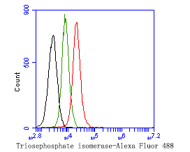 Flow cytometric analysis of Triosephosphate isomerase was done on 293T cells. The cells were fixed, permeabilized and stained with the primary antibody (HA500283, 1ug/ml) (red) compared with Rabbit IgG, monoclonal  - Isotype Control (green). After incubation of the primary antibody at +4℃ for 1 hour, the cells were stained with a Alexa Fluor®488 conjugate-Goat anti-Rabbit IgG Secondary antibody at 1/1,000 dilution for 30 minutes at +4℃ (dark incubation).Unlabelled sample was used as a control (cells without incubation with primary antibody; black).