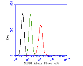 Flow cytometric analysis of NEDD1 was done on SiHa cells. The cells were fixed, permeabilized and stained with the primary antibody (HA500294, 1ug/ml) (red) compared with Rabbit IgG, monoclonal  - Isotype Control (green). After incubation of the primary antibody at +4℃ for 1 hour, the cells were stained with a Alexa Fluor®488 conjugate-Goat anti-Rabbit IgG Secondary antibody at 1/1,000 dilution for 30 minutes at +4℃ (dark incubation).Unlabelled sample was used as a control (cells without incubation with primary antibody; black).