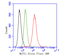 Flow cytometric analysis of MyT1L was done on SH-SY5Y  cells. The cells were fixed, permeabilized and stained with the primary antibody (HA500297, 1ug/ml) (red) compared with Rabbit IgG, monoclonal  - Isotype Control (green). After incubation of the primary antibody at +4℃ for 1 hour, the cells were stained with a Alexa Fluor®488 conjugate-Goat anti-Rabbit IgG Secondary antibody at 1/1,000 dilution for 30 minutes at +4℃ (dark incubation).Unlabelled sample was used as a control (cells without incubation with primary antibody; black).