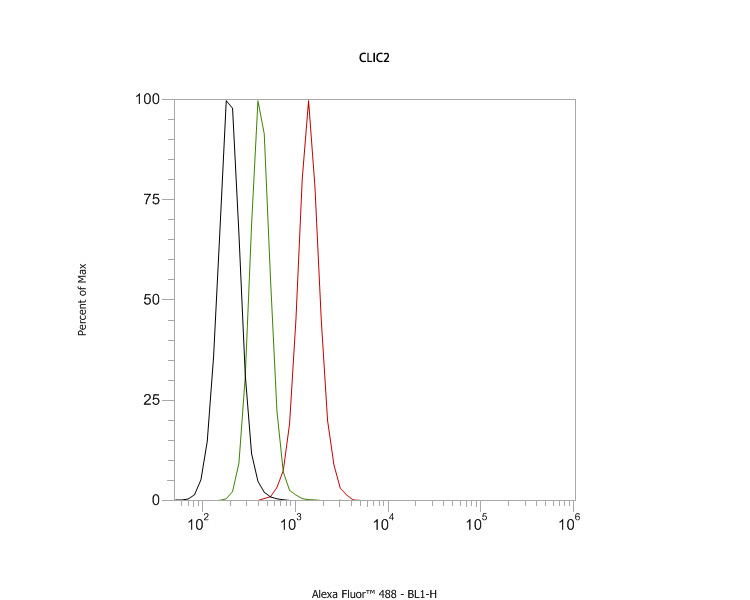 Flow cytometric analysis of CLIC2 was done on SH-SY5Y cells. The cells were fixed, permeabilized and stained with the primary antibody (HA600064, 1ug/ml) (red) compared with Mouse IgG, monoclonal  - Isotype Control ( green). After incubation of the primary antibody at room temperature for an hour, the cells were stained with a Alexa Fluor®488 conjugate-Goat anti-Mouse IgG Secondary antibody at 1/1000 dilution for 30 minutes.Unlabelled sample was used as a control (cells without incubation with primary antibody; black).