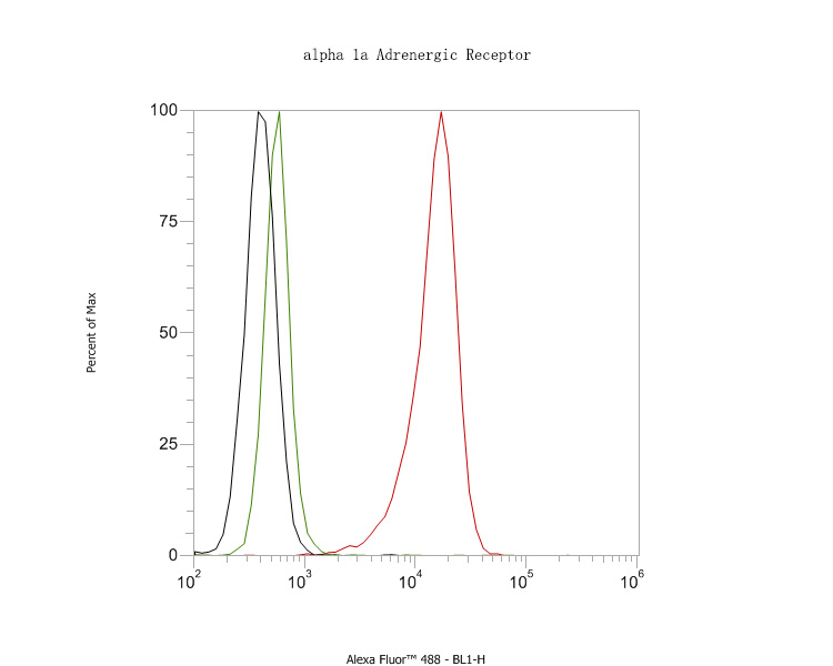 Flow cytometric analysis of alpha 1a Adrenergic Receptor was done on SiHa cells. The cells were fixed, permeabilized and stained with the primary antibody (HA720096, 1ug/ml) (red) compared with Rabbit IgG, monoclonal  - Isotype Control ( green). After incubation of the primary antibody at room temperature for an hour, the cells were stained with a Alexa Fluor®488 conjugate-Goat anti-Rabbit IgG Secondary antibody at 1/1000 dilution for 30 minutes.Unlabelled sample was used as a control (cells without incubation with primary antibody; black).