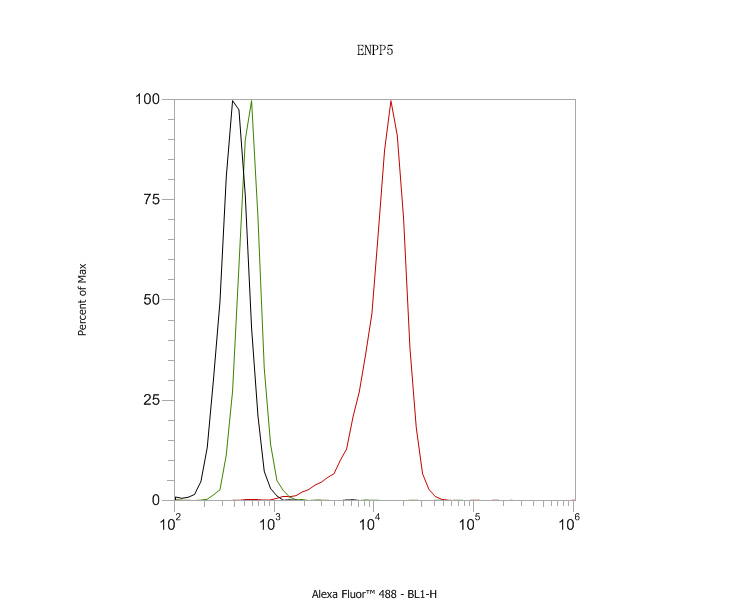 Flow cytometric analysis of ENPP5 was done on SiHa cells. The cells were fixed, permeabilized and stained with the primary antibody (HA720103, 1ug/ml) (red) compared with Rabbit IgG, monoclonal  - Isotype Control ( green). After incubation of the primary antibody at room temperature for an hour, the cells were stained with a Alexa Fluor®488 conjugate-Goat anti-Rabbit IgG Secondary antibody at 1/1000 dilution for 30 minutes.Unlabelled sample was used as a control (cells without incubation with primary antibody; black).