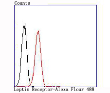 Flow cytometric analysis of Leptin Receptor was done on K562 cells. The cells were fixed, permeabilized and stained with the primary antibody (ET1704-44, 1/50) (red). After incubation of the primary antibody at room temperature for an hour, the cells were stained with a Alexa Fluor 488-conjugated Goat anti-Rabbit IgG Secondary antibody at 1/1000 dilution for 30 minutes.Unlabelled sample was used as a control (cells without incubation with primary antibody; black).