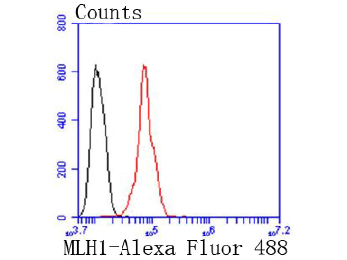Flow cytometric analysis of MLH1 was done on Hela cells. The cells were fixed, permeabilized and stained with the primary antibody (ET1604-41, 1/50) (red). After incubation of the primary antibody at room temperature for an hour, the cells were stained with a Alexa Fluor 488-conjugated Goat anti-Rabbit IgG Secondary antibody at 1/1000 dilution for 30 minutes.Unlabelled sample was used as a control (cells without incubation with primary antibody; black).