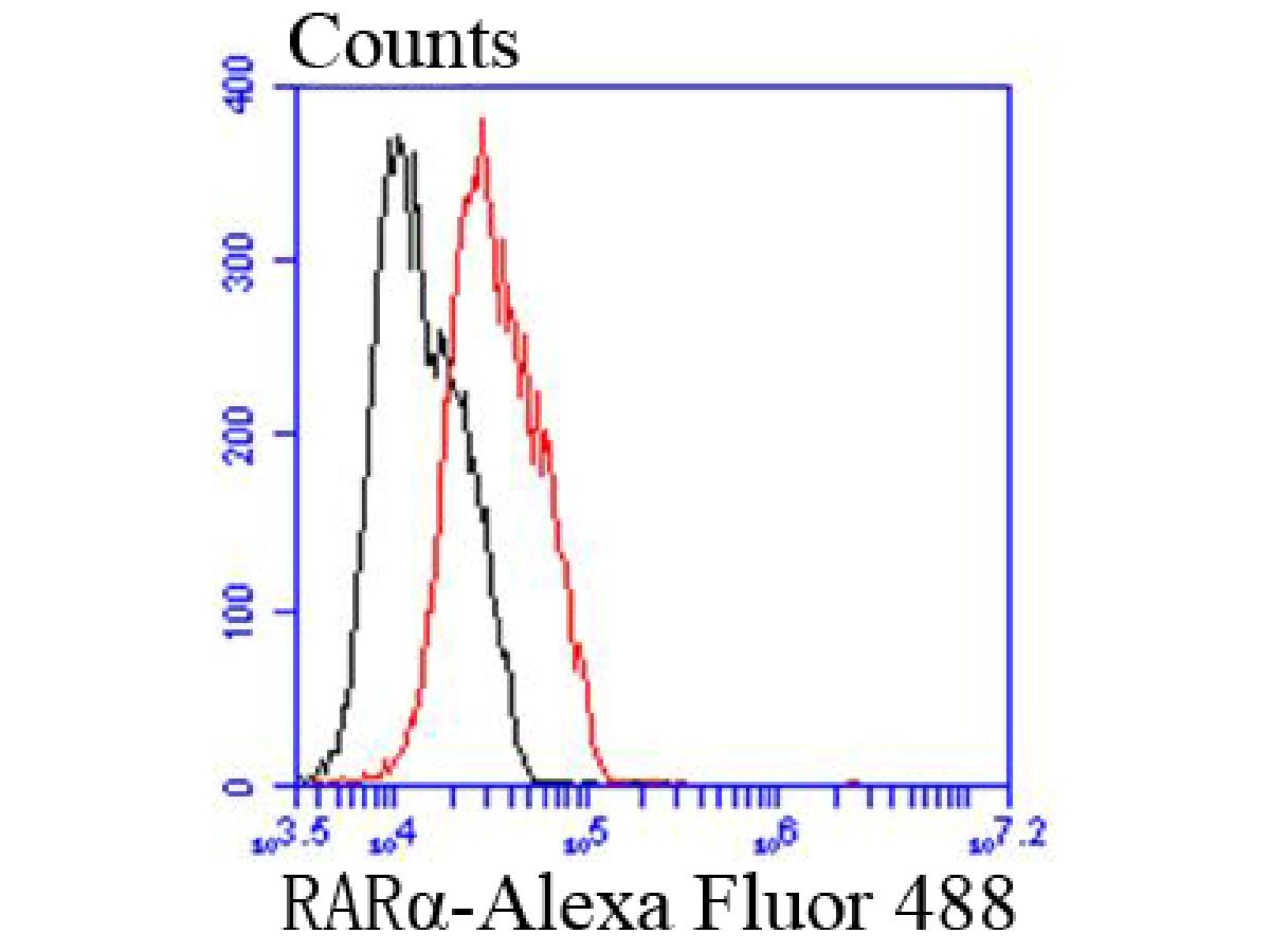 Flow cytometric analysis of Retinoic Acid Receptor alpha was done on MCF-7 cells. The cells were fixed, permeabilized and stained with the primary antibody (ET1611-77, 1/50) (red). After incubation of the primary antibody at room temperature for an hour, the cells were stained with a Alexa Fluor®488 conjugate-Goat anti-Rabbit IgG Secondary antibody at 1/1000 dilution for 30 minutes.Unlabelled sample was used as a control (cells without incubation with primary antibody; black).