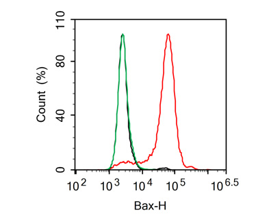 Flow cytometric analysis of Bax was done on A549 cells. The cells were fixed, permeabilized and stained with the primary antibody (ET1603-34, 1/50) (red). After incubation of the primary antibody at room temperature for an hour, the cells were stained with a Alexa Fluor 488-conjugated Goat anti-Rabbit IgG Secondary antibody at 1/1000 dilution for 30 minutes.Unlabelled sample was used as a control (cells without incubation with primary antibody; black).