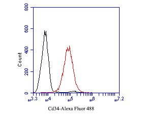 Flow cytometric analysis of CD34 was done on THP-1 cells. The cells were fixed, permeabilized and stained with the primary antibody (EM1901-01, 1/50) (red). After incubation of the primary antibody at room temperature for an hour, the cells were stained with a Alexa Fluor 488-conjugated Goat anti-Mouse IgG Secondary antibody at 1/1000 dilution for 30 minutes.Unlabelled sample was used as a control (cells without incubation with primary antibody; black).