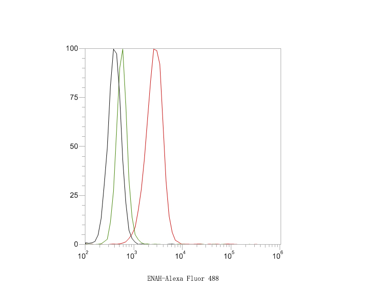 Flow cytometric analysis of ENAH was done on SiHa cells. The cells were fixed, permeabilized and stained with the primary antibody (HA500168, 1ug/ml) (red) compared with Rabbit IgG, monoclonal  - Isotype Control (green). After incubation of the primary antibody at +4℃ for 1 hour, the cells were stained with a Alexa Fluor®488 conjugate-Goat anti-Rabbit IgG Secondary antibody at 1/1,000 dilution for 30 minutes at +4℃ (dark incubation).Unlabelled sample was used as a control (cells without incubation with primary antibody; black).