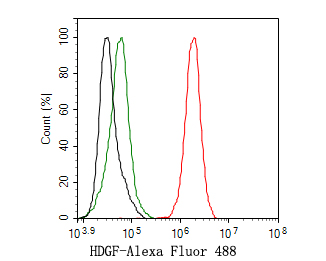 Flow cytometric analysis of HDGF was done on THP-1 cells. The cells were fixed, permeabilized and stained with the primary antibody (HA720013, 1ug/ml) (red) compared with Rabbit IgG, monoclonal  - Isotype Control (green). After incubation of the primary antibody at +4℃ for 1 hour, the cells were stained with a Alexa Fluor®488 conjugate-Goat anti-Rabbit IgG Secondary antibody at 1/1,000 dilution for 30 minutes at +4℃ (dark incubation).Unlabelled sample was used as a control (cells without incubation with primary antibody; black).