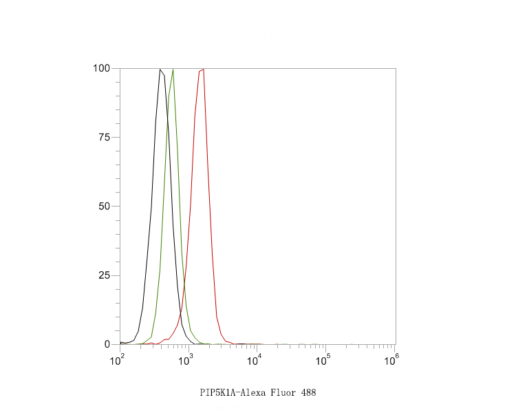 Flow cytometric analysis of PIP5K1A was done on SiHa cells. The cells were fixed, permeabilized and stained with the primary antibody (HA500201, 1ug/ml) (red) compared with Rabbit IgG, monoclonal  - Isotype Control (green). After incubation of the primary antibody at +4℃ for 1 hour, the cells were stained with a Alexa Fluor®488 conjugate-Goat anti-Rabbit IgG Secondary antibody at 1/1,000 dilution for 30 minutes at +4℃ (dark incubation).Unlabelled sample was used as a control (cells without incubation with primary antibody; black).