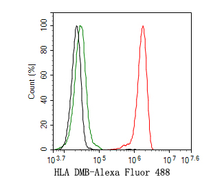 HLA DMB Recombinant Rabbit Monoclonal Antibody [JE58-74] - image 2