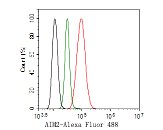 Flow cytometric analysis of AIM2 was done on Hela cells. The cells were fixed, permeabilized and stained with the primary antibody (HA500270, 1ug/ml) (red) compared with Rabbit IgG, monoclonal  - Isotype Control (green). After incubation of the primary antibody at +4℃ for 1 hour, the cells were stained with a Alexa Fluor®488 conjugate-Goat anti-Rabbit IgG Secondary antibody at 1/1,000 dilution for 30 minutes at +4℃ (dark incubation).Unlabelled sample was used as a control (cells without incubation with primary antibody; black).