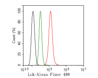 Flow cytometric analysis of Lck was done on Hela cells. The cells were fixed, permeabilized and stained with the primary antibody (HA500280, 1ug/ml) (red) compared with Rabbit IgG, monoclonal  - Isotype Control (green). After incubation of the primary antibody at +4℃ for 1 hour, the cells were stained with a Alexa Fluor®488 conjugate-Goat anti-Rabbit IgG Secondary antibody at 1/1,000 dilution for 30 minutes at +4℃ (dark incubation).Unlabelled sample was used as a control (cells without incubation with primary antibody; black).