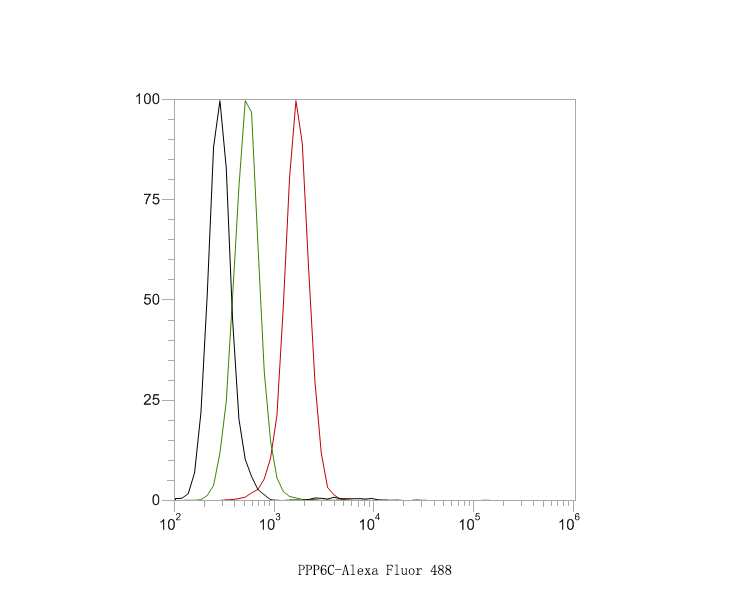 Flow cytometric analysis of PPP6C was done on Hela cells. The cells were fixed, permeabilized and stained with the primary antibody (HA720056, 1ug/ml) (red) compared with Rabbit IgG, monoclonal  - Isotype Control (green). After incubation of the primary antibody at +4℃ for 1 hour, the cells were stained with a Alexa Fluor®488 conjugate-Goat anti-Rabbit IgG Secondary antibody at 1/1,000 dilution for 30 minutes at +4℃ (dark incubation).Unlabelled sample was used as a control (cells without incubation with primary antibody; black).