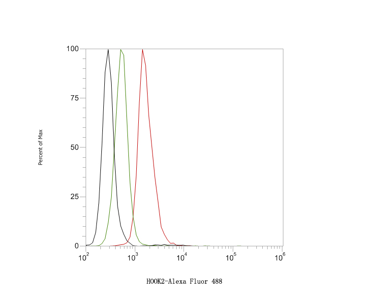 Flow cytometric analysis of HOOK2 was done on Hela cells. The cells were fixed, permeabilized and stained with the primary antibody (HA720057, 1ug/ml) (red) compared with Rabbit IgG, monoclonal  - Isotype Control (green). After incubation of the primary antibody at +4℃ for 1 hour, the cells were stained with a Alexa Fluor®488 conjugate-Goat anti-Rabbit IgG Secondary antibody at 1/1,000 dilution for 30 minutes at +4℃ (dark incubation).Unlabelled sample was used as a control (cells without incubation with primary antibody; black).