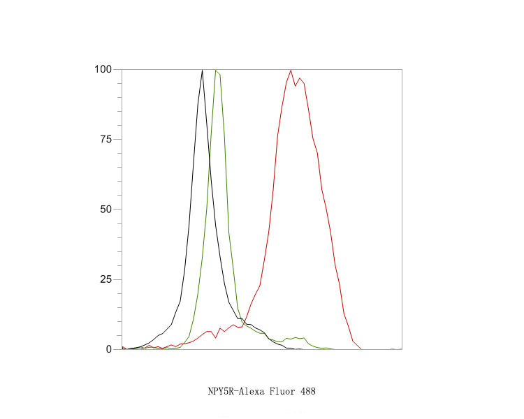 Flow cytometric analysis of NPY5R was done on A549 cells. The cells were stained with the primary antibody (HA720061, 1ug/ml) (red) compared with Rabbit IgG, monoclonal  - Isotype Control (green). After incubation of the primary antibody at at +4℃ for 1 hour, the cells were stained with a Alexa Fluor®488 conjugate-Goat anti-Rabbit IgG Secondary antibody at 1/1,000 dilution for 30 min at +4℃ (dark incubation).Unlabelled sample was used as a control (cells without incubation with primary antibody; black).