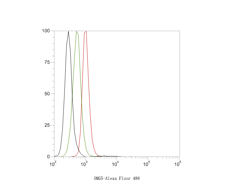 Flow cytometric analysis of SMG5 was done on Hela cells. The cells were fixed, permeabilized and stained with the primary antibody (HA500236, 1ug/ml) (red) compared with Rabbit IgG, monoclonal  - Isotype Control (green). After incubation of the primary antibody at +4℃ for 1 hour, the cells were stained with a Alexa Fluor®488 conjugate-Goat anti-Rabbit IgG Secondary antibody at 1/1,000 dilution for 30 minutes at +4℃ (dark incubation).Unlabelled sample was used as a control (cells without incubation with primary antibody; black).