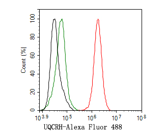 Flow cytometric analysis of UQCRH was done on THP-1 cells. The cells were fixed, permeabilized and stained with the primary antibody (HA720113, 1ug/ml) (red) compared with Rabbit IgG, monoclonal  - Isotype Control (green). After incubation of the primary antibody at +4℃ for 1 hour, the cells were stained with a Alexa Fluor®488 conjugate-Goat anti-Rabbit IgG Secondary antibody at 1/1,000 dilution for 30 minutes at +4℃ (dark incubation).Unlabelled sample was used as a control (cells without incubation with primary antibody; black).