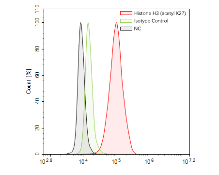 Flow cytometric analysis of Histone H3 (acetyl K27) was done on Hela cells. The cells were fixed, permeabilized and stained with the primary antibody (HA600047, 1ug/ml) (red) compared with Rabbit IgG, monoclonal  - Isotype Control (green). After incubation of the primary antibody at +4℃ for 1 hour, the cells were stained with a Alexa Fluor®488 conjugate-Goat anti-Mouse IgG Secondary antibody at 1/1000 dilution for 30 minutes at +4℃ (dark incubation).Unlabelled sample was used as a control (cells without incubation with primary antibody; black).