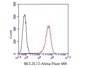 Flow cytometric analysis of BCL2L12 was done on A431 cells. The cells were fixed, permeabilized and stained with the primary antibody (ET7110-02, 1/50) (red). After incubation of the primary antibody at room temperature for an hour, the cells were stained with a Alexa Fluor 488-conjugated Goat anti-Rabbit IgG Secondary antibody at 1/1000 dilution for 30 minutes.Unlabelled sample was used as a control (cells without incubation with primary antibody; black).