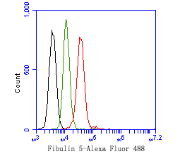 Flow cytometric analysis of Fibulin 5 was done on SiHa cells. The cells were fixed, permeabilized and stained with the primary antibody (HA600044, 1ug/ml) (red) compared with Mouse IgG, monoclonal  - Isotype Control (green). After incubation of the primary antibody at +4℃ for 1 hour, the cells were stained with a Alexa Fluor®488 conjugate-Goat anti-Mouse IgG Secondary antibody at 1/1,000 dilution for 30 minutes at +4℃ (dark incubation).Unlabelled sample was used as a control (cells without incubation with primary antibody; black).