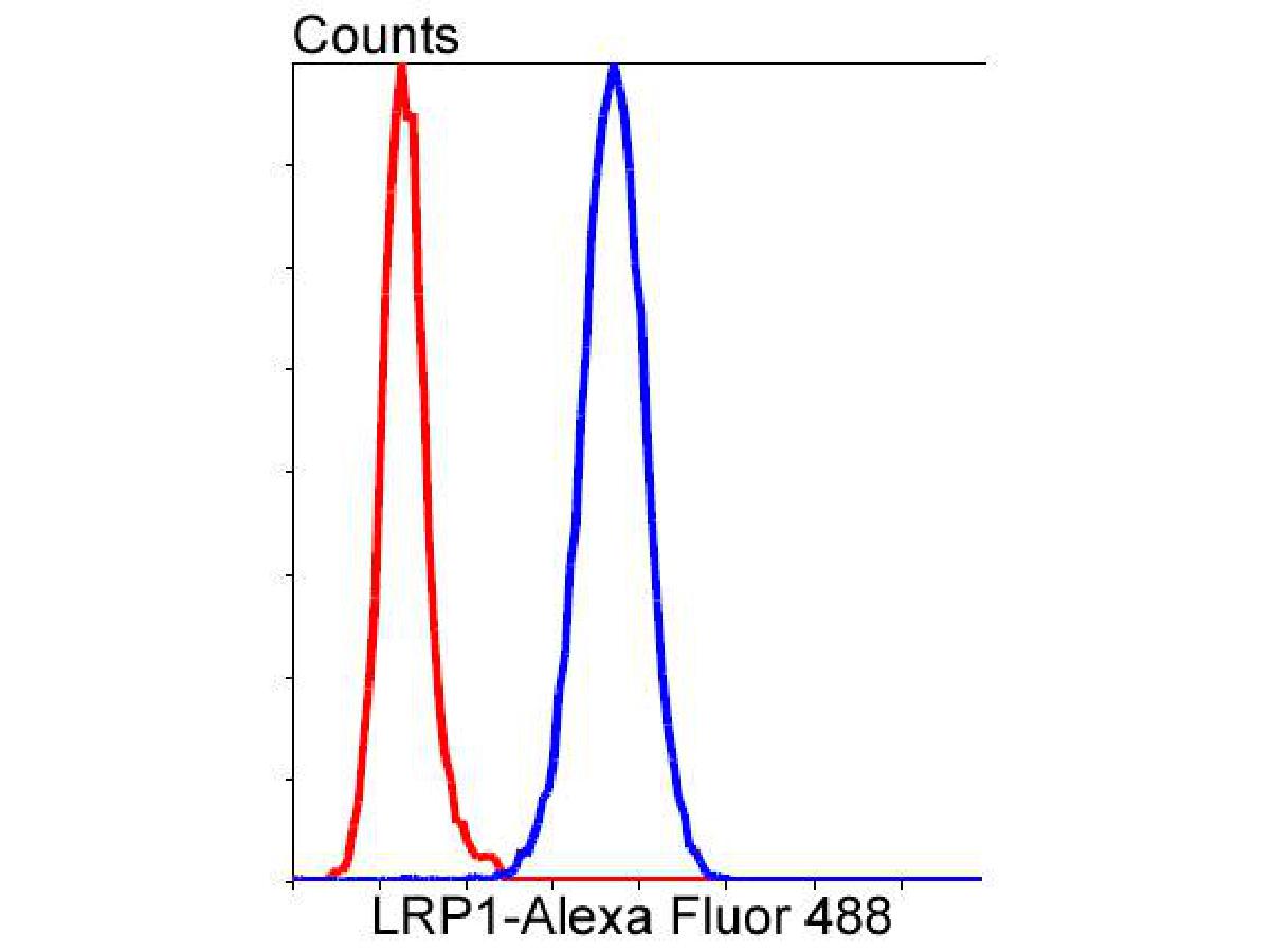 Flow cytometric analysis of LRP1 was done on Hela cells. The cells were fixed, permeabilized and stained with the primary antibody (ET1601-1, 1/50) (blue). After incubation of the primary antibody at room temperature for an hour, the cells were stained with a Alexa Fluor 488-conjugated Goat anti-Rabbit IgG Secondary antibody at 1/1000 dilution for 30 minutes.Unlabelled sample was used as a control (cells without incubation with primary antibody; red).