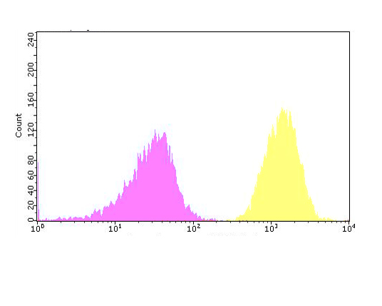 Flow cytometric analysis of Transglutaminase 2 was done on Hela cells. The cells were fixed, permeabilized and stained with the primary antibody (ER1902-28, 1/100) (yellow). After incubation of the primary antibody at room temperature for an hour, the cells were stained with a Alexa Fluor 488-conjugated goat anti-rabbit IgG Secondary antibody at 1/500 dilution for 30 minutes.Unlabelled sample was used as a control (cells without incubation with primary antibody; purple).