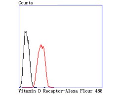 Flow cytometric analysis of Vitamin D Receptor was done on Hela cells. The cells were fixed, permeabilized and stained with the primary antibody (ET1704-09, 1/50) (red). After incubation of the primary antibody at room temperature for an hour, the cells were stained with a Alexa Fluor 488-conjugated Goat anti-Rabbit IgG Secondary antibody at 1/1000 dilution for 30 minutes.Unlabelled sample was used as a control (cells without incubation with primary antibody; black).