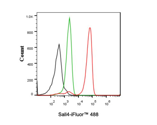 Flow cytometric analysis of NCCIT cells labeling Sall4.<br />
<br />
Cells were fixed and permeabilized, and then blocked with 2% negative goat serum for 15 minutes at room temperature.Then stained with the primary antibody (HA600089, 0.1ug/ml) (red) compared with Mouse IgG1 Isotype Control (green). After incubation of the primary antibody at +4℃ for an hour, the cells were stained with a iFluor™ 488 conjugate-Goat anti-Mouse IgG Secondary antibody (HA1125) at 1/1,000 dilution for 30 minutes at +4℃. Unlabelled sample was used as a control (cells without incubation with primary antibody; black).