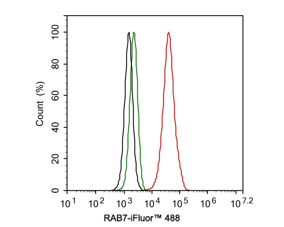 Flow cytometric analysis of RAB7 was done on K562 cells. The cells were fixed, permeabilized and stained with the primary antibody (ET1611-96, 1/50) (red). After incubation of the primary antibody at room temperature for an hour, the cells were stained with a Alexa Fluor 488-conjugated Goat anti-Rabbit IgG Secondary antibody at 1/1000 dilution for 30 minutes.Unlabelled sample was used as a control (cells without incubation with primary antibody; black).