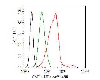 Flow cytometric analysis of Hela cells labeling ChT1.<br />
<br />
Cells were washed twice with cold PBS and resuspend. Then stained with the primary antibody (HA500314, 1ug/ml) (red) compared with Rabbit IgG Isotype Control (green). After incubation of the primary antibody at +4℃ for an hour, the cells were stained with a iFluor™ 488 conjugate-Goat anti-Rabbit IgG Secondary antibody (HA1121) at 1/1,000 dilution for 30 minutes at +4℃. Unlabelled sample was used as a control (cells without incubation with primary antibody; black).