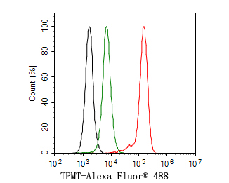 Flow cytometric analysis of K562 cells labeling TPMT.<br />
<br />
Cells were fixed and permeabilized. Then stained with the primary antibody (HA721049, 1ug/ml) (red) compared with Rabbit IgG Isotype Control (green). After incubation of the primary antibody at +4℃ for an hour, the cells were stained with a Alexa Fluor® 488 conjugate-Goat anti-Rabbit IgG Secondary antibody at 1/1,000 dilution for 30 minutes at +4℃. Unlabelled sample was used as a control (cells without incubation with primary antibody; black).