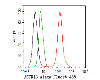 Flow cytometric analysis of HepG2 cells labeling ACTR1B.<br />
<br />
Cells were fixed and permeabilized. Then stained with the primary antibody (HA721050, 1ug/ml) (red) compared with Rabbit IgG Isotype Control (green). After incubation of the primary antibody at +4℃ for an hour, the cells were stained with a Alexa Fluor® 488 conjugate-Goat anti-Rabbit IgG Secondary antibody at 1/1,000 dilution for 30 minutes at +4℃. Unlabelled sample was used as a control (cells without incubation with primary antibody; black).