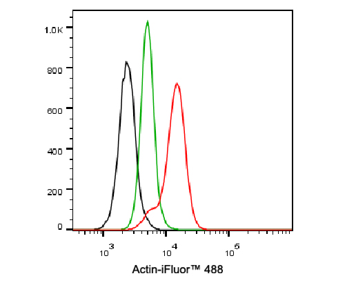 Flow cytometric analysis of NIH/3T3 cells labeling Actin.<br />
<br />
Cells were fixed and permeabilized. Then incubated for 30 minutes at +4℃ with Actin (HA720160F, red, 1ug/ml) and Rabbit IgG Isotype Control (iFluor™ 488, green, 1ug/ml). Unlabelled sample was used as a control (cells without incubation with primary antibody; black).