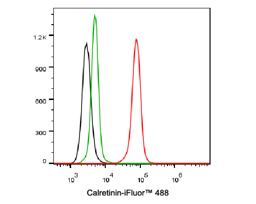 Flow cytometric analysis of SH-SY5Y cells labeling Calretinin.<br />
<br />
Cells were fixed and permeabilized. Then incubated for 30 minutes at +4℃ with Calretinin (HA720153F, red, 1ug/ml) and Rabbit IgG Isotype Control (iFluor™ 488, green, 1ug/ml). Unlabelled sample was used as a control (cells without incubation with primary antibody; black).