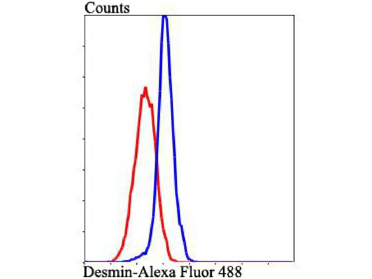 Flow cytometric analysis of Desmin was done on Hela cells. The cells were fixed, permeabilized and stained with Desmin antibody at 1/100 dilution (blue) compared with an unlabelled control (cells without incubation with primary antibody; red). After incubation of the primary antibody on room temperature for an hour, the cells was stained with a Alexa Fluor™ 488-conjugated goat anti-mouse IgG Secondary antibody at 1/500 dilution for 30 minutes.