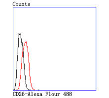 Flow cytometric analysis of CD26 was done on Hela cells. The cells were fixed, permeabilized and stained with the primary antibody (ET1703-93, 1/50) (red). After incubation of the primary antibody at room temperature for an hour, the cells were stained with a Alexa Fluor 488-conjugated Goat anti-Rabbit IgG Secondary antibody at 1/1000 dilution for 30 minutes.Unlabelled sample was used as a control (cells without incubation with primary antibody; black).