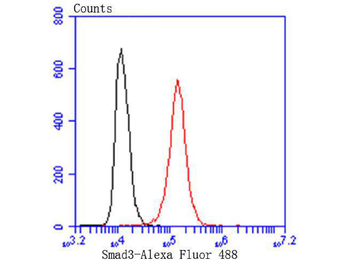 Flow cytometric analysis of Smad3 was done on Hela cells. The cells were fixed, permeabilized and stained with the primary antibody (ET1607-41, 1/50) (red). After incubation of the primary antibody at room temperature for an hour, the cells were stained with a Alexa Fluor 488-conjugated Goat anti-Rabbit IgG Secondary antibody at 1/1000 dilution for 30 minutes.Unlabelled sample was used as a control (cells without incubation with primary antibody; black).