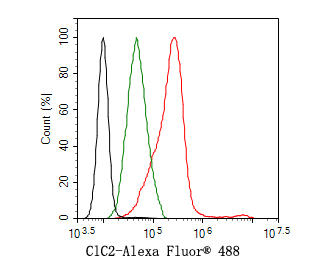 Flow cytometric analysis of Hela cells labeling ClC2.<br />
<br />
Cells were fixed and permeabilized. Then stained with the primary antibody (HA500243, 1ug/ml) (red) compared with Rabbit IgG Isotype Control (green). After incubation of the primary antibody at +4℃ for an hour, the cells were stained with a Alexa Fluor® 488 conjugate-Goat anti-Rabbit IgG Secondary antibody at 1/1,000 dilution for 30 minutes at +4℃. Unlabelled sample was used as a control (cells without incubation with primary antibody; black).