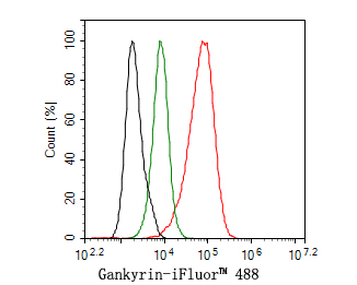 Flow cytometric analysis of SiHa cells labeling Gankyrin.<br />
<br />
Cells were fixed and permeabilized. Then stained with the primary antibody (HA500244, 1ug/ml) (red) compared with Rabbit IgG Isotype Control (green). After incubation of the primary antibody at +4℃ for an hour, the cells were stained with a iFluor™ 488 conjugate-Goat anti-Rabbit IgG Secondary antibody (HA1121) at 1/1,000 dilution for 30 minutes at +4℃. Unlabelled sample was used as a control (cells without incubation with primary antibody; black).