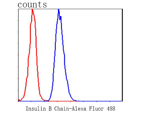 Flow cytometric analysis of Insulin B Chain was done on HepG2 cells. The cells were fixed, permeabilized and stained with the primary antibody (0807-11, 1/50) (blue). After incubation of the primary antibody at room temperature for an hour, the cells were stained with a Alexa Fluor 488-conjugated Goat anti-Rabbit IgG Secondary antibody at 1/1000 dilution for 30 minutes.Unlabelled sample was used as a control (cells without incubation with primary antibody; red).