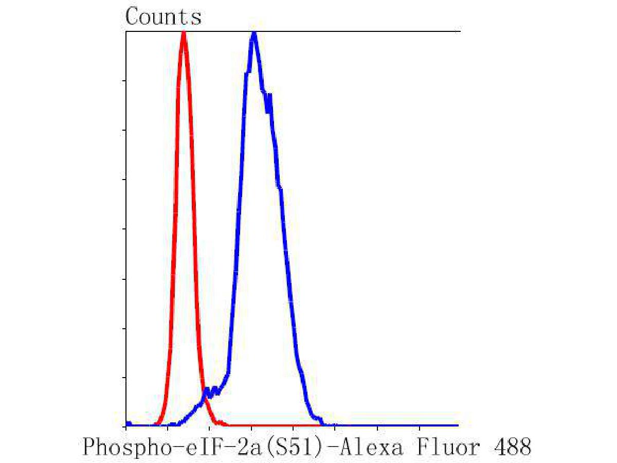 Flow cytometric analysis of Phospho-EIF2S1 (S51) was done on Hela cells. The cells were fixed, permeabilized and stained with the primary antibody (ET1603-14, 1/50) (blue). After incubation of the primary antibody at room temperature for an hour, the cells were stained with a Alexa Fluor 488-conjugated Goat anti-Rabbit IgG Secondary antibody at 1/1000 dilution for 30 minutes.Unlabelled sample was used as a control (cells without incubation with primary antibody; red).