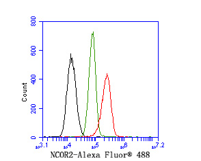 Flow cytometric analysis of MG-63 cells labeling NCOR2/SMRT.<br />
<br />
Cells were fixed and permeabilized. Then stained with the primary antibody (HA500226, 1ug/ml) (red) compared with Rabbit IgG Isotype Control (green). After incubation of the primary antibody at +4℃ for an hour, the cells were stained with a Alexa Fluor® 488 conjugate-Goat anti-Rabbit IgG Secondary antibody at 1/1,000 dilution for 30 minutes at +4℃. Unlabelled sample was used as a control (cells without incubation with primary antibody; black).