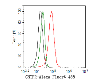 Flow cytometric analysis of SH-SY5Y cells labeling CNTFR.<br />
<br />
Cells were washed twice with cold PBS and resuspend. Then stained with the primary antibody (HA500506, 1ug/ml) (red) compared with Rabbit IgG Isotype Control (green). After incubation of the primary antibody at +4℃ for an hour, the cells were stained with a Alexa Fluor® 488 conjugate-Goat anti-Rabbit IgG Secondary antibody at 1/1,000 dilution for 30 minutes at +4℃. Unlabelled sample was used as a control (cells without incubation with primary antibody; black).