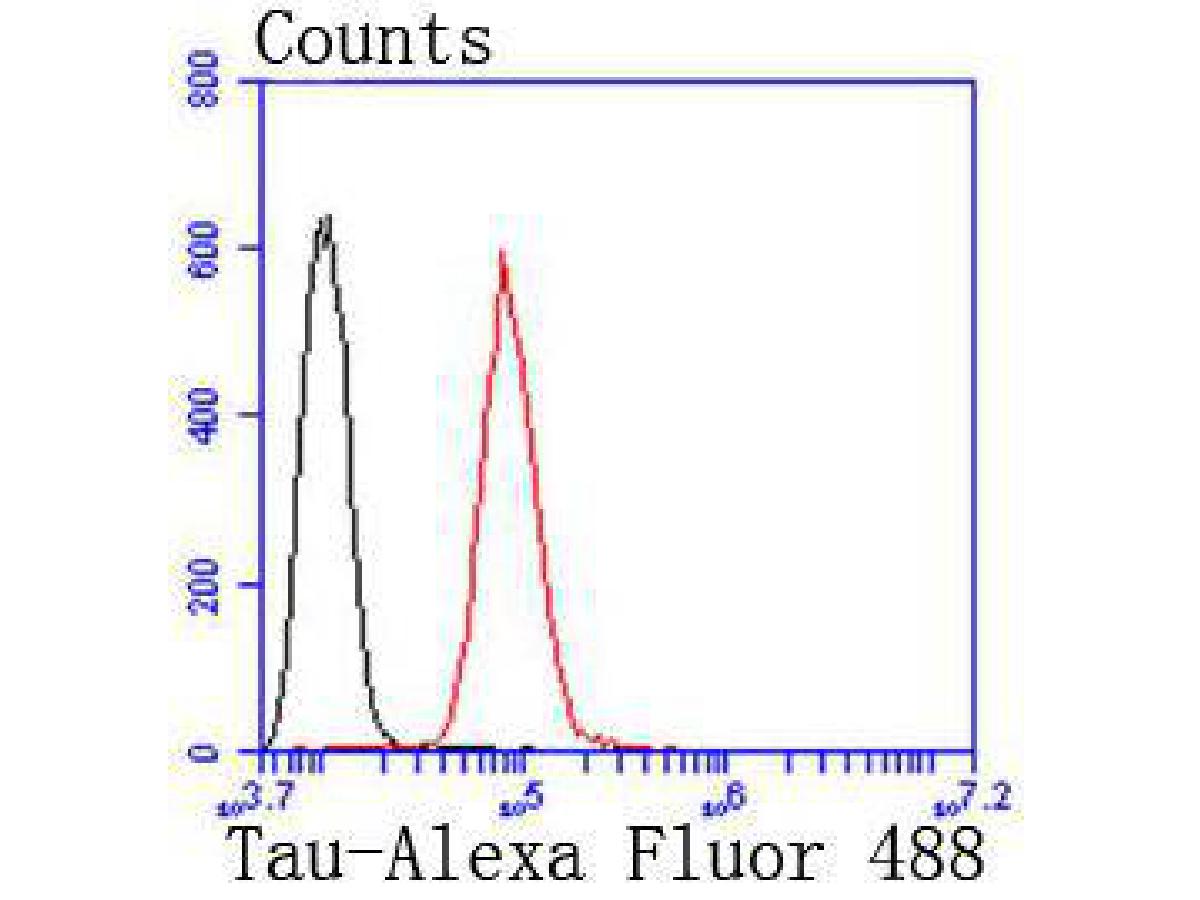 Flow cytometric analysis of Tau was done on SH-SY5Y cells. The cells were fixed, permeabilized and stained with the primary antibody (ET1612-44, 1/50) (red). After incubation of the primary antibody at room temperature for an hour, the cells were stained with a Alexa Fluor 488-conjugated Goat anti-Rabbit IgG Secondary antibody at 1/1000 dilution for 30 minutes.Unlabelled sample was used as a control (cells without incubation with primary antibody; black).