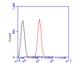Flow cytometric analysis of mGluR6 was done on SHSY5Y cells. The cells were fixed, permeabilized and stained with the primary antibody (HA500158, 1/50) (red). After incubation of the primary antibody at room temperature for an hour, the cells were stained with a Alexa Fluor 488-conjugated Goat anti-Rabbit IgG Secondary antibody at 1/1000 dilution for 30 minutes.Unlabelled sample was used as a control (cells without incubation with primary antibody; black).
