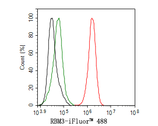 Flow cytometric analysis of THP-1 cells labeling RBM3.<br />
<br />
Cells were fixed and permeabilized. Then stained with the primary antibody (HA721130, 1ug/ml) (red) compared with Rabbit IgG Isotype Control (green). After incubation of the primary antibody at +4℃ for an hour, the cells were stained with a iFluor™ 488 conjugate-Goat anti-Rabbit IgG Secondary antibody (HA1121) at 1/1,000 dilution for 30 minutes at +4℃. Unlabelled sample was used as a control (cells without incubation with primary antibody; black).