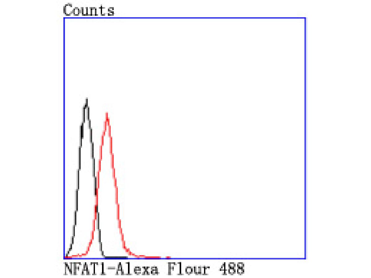 Flow cytometric analysis of NFAT1 was done on Jurkat cells. The cells were fixed, permeabilized and stained with the primary antibody (ET1704-14, 1/50) (red). After incubation of the primary antibody at room temperature for an hour, the cells were stained with a Alexa Fluor®488 conjugate-Goat anti-Rabbit IgG Secondary antibody at 1/1000 dilution for 30 minutes.Unlabelled sample was used as a control (cells without incubation with primary antibody; black).