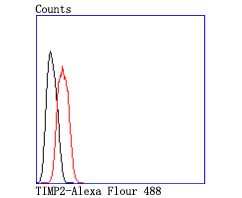 Flow cytometric analysis of TIMP2 was done on Hela cells. The cells were fixed, permeabilized and stained with the primary antibody (ET1703-81, 1/50) (red). After incubation of the primary antibody at room temperature for an hour, the cells were stained with a Alexa Fluor 488-conjugated Goat anti-Rabbit IgG Secondary antibody at 1/1000 dilution for 30 minutes.Unlabelled sample was used as a control (cells without incubation with primary antibody; black).